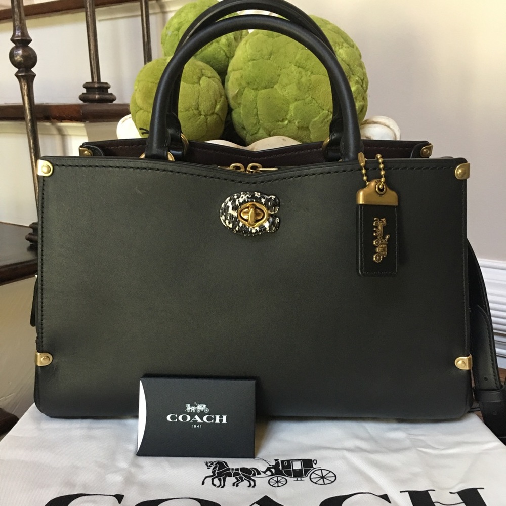 Stunning Coach Exotic Detailed Mason Color